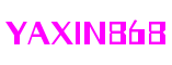 四川省成都市yaxin868动作游戏开发有限公司